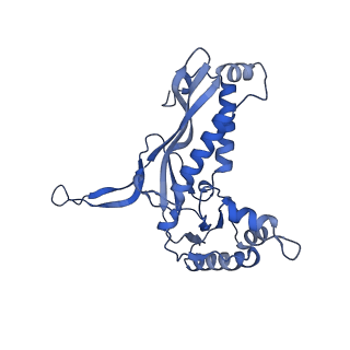 18031_8pys_6_v1-0
Cryo-EM structure of the DyP peroxidase-loaded encapsulin nanocompartment from Mycobacterium tuberculosis with icosahedral symmetry imposed.