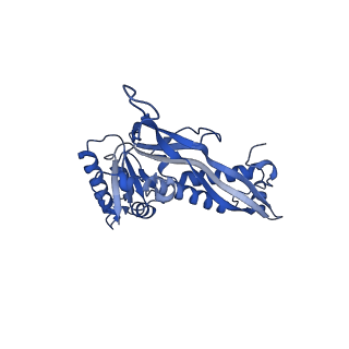 18031_8pys_7_v1-0
Cryo-EM structure of the DyP peroxidase-loaded encapsulin nanocompartment from Mycobacterium tuberculosis with icosahedral symmetry imposed.