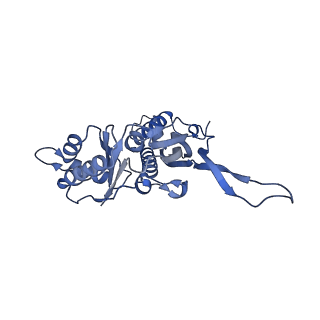18031_8pys_A_v1-0
Cryo-EM structure of the DyP peroxidase-loaded encapsulin nanocompartment from Mycobacterium tuberculosis with icosahedral symmetry imposed.