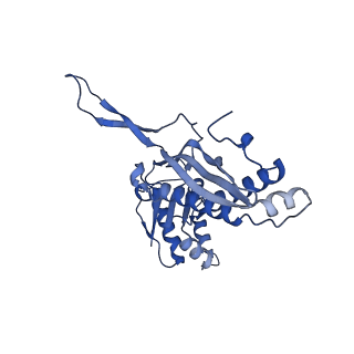 18031_8pys_B_v1-0
Cryo-EM structure of the DyP peroxidase-loaded encapsulin nanocompartment from Mycobacterium tuberculosis with icosahedral symmetry imposed.