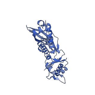 18031_8pys_C_v1-0
Cryo-EM structure of the DyP peroxidase-loaded encapsulin nanocompartment from Mycobacterium tuberculosis with icosahedral symmetry imposed.