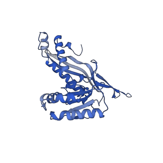 18031_8pys_D_v1-0
Cryo-EM structure of the DyP peroxidase-loaded encapsulin nanocompartment from Mycobacterium tuberculosis with icosahedral symmetry imposed.