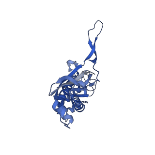 18031_8pys_F_v1-0
Cryo-EM structure of the DyP peroxidase-loaded encapsulin nanocompartment from Mycobacterium tuberculosis with icosahedral symmetry imposed.