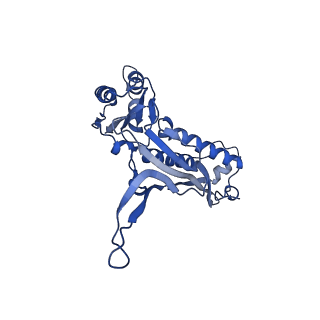 18031_8pys_G_v1-0
Cryo-EM structure of the DyP peroxidase-loaded encapsulin nanocompartment from Mycobacterium tuberculosis with icosahedral symmetry imposed.