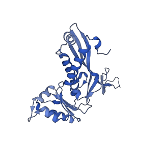 18031_8pys_H_v1-0
Cryo-EM structure of the DyP peroxidase-loaded encapsulin nanocompartment from Mycobacterium tuberculosis with icosahedral symmetry imposed.