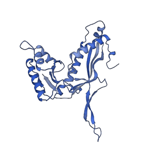 18031_8pys_I_v1-0
Cryo-EM structure of the DyP peroxidase-loaded encapsulin nanocompartment from Mycobacterium tuberculosis with icosahedral symmetry imposed.
