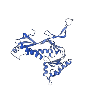18031_8pys_J_v1-0
Cryo-EM structure of the DyP peroxidase-loaded encapsulin nanocompartment from Mycobacterium tuberculosis with icosahedral symmetry imposed.