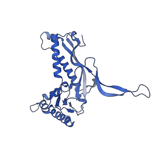18031_8pys_K_v1-0
Cryo-EM structure of the DyP peroxidase-loaded encapsulin nanocompartment from Mycobacterium tuberculosis with icosahedral symmetry imposed.