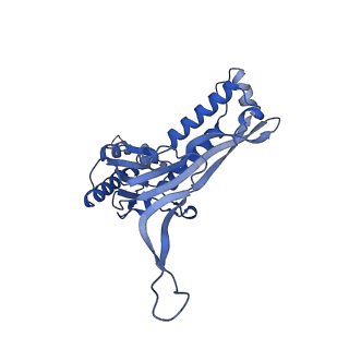 18031_8pys_L_v1-0
Cryo-EM structure of the DyP peroxidase-loaded encapsulin nanocompartment from Mycobacterium tuberculosis with icosahedral symmetry imposed.