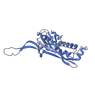 18031_8pys_M_v1-0
Cryo-EM structure of the DyP peroxidase-loaded encapsulin nanocompartment from Mycobacterium tuberculosis with icosahedral symmetry imposed.