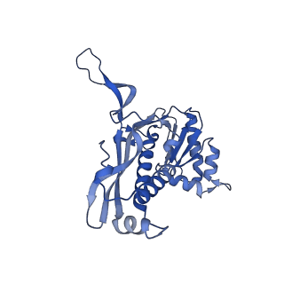 18031_8pys_N_v1-0
Cryo-EM structure of the DyP peroxidase-loaded encapsulin nanocompartment from Mycobacterium tuberculosis with icosahedral symmetry imposed.
