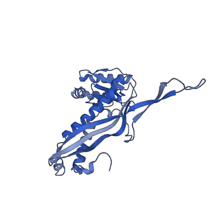 18031_8pys_P_v1-0
Cryo-EM structure of the DyP peroxidase-loaded encapsulin nanocompartment from Mycobacterium tuberculosis with icosahedral symmetry imposed.