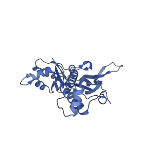 18031_8pys_Q_v1-0
Cryo-EM structure of the DyP peroxidase-loaded encapsulin nanocompartment from Mycobacterium tuberculosis with icosahedral symmetry imposed.