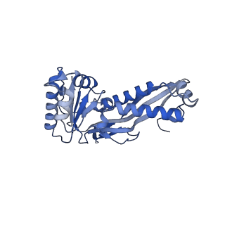 18031_8pys_R_v1-0
Cryo-EM structure of the DyP peroxidase-loaded encapsulin nanocompartment from Mycobacterium tuberculosis with icosahedral symmetry imposed.