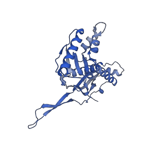 18031_8pys_S_v1-0
Cryo-EM structure of the DyP peroxidase-loaded encapsulin nanocompartment from Mycobacterium tuberculosis with icosahedral symmetry imposed.