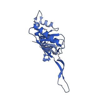 18031_8pys_T_v1-0
Cryo-EM structure of the DyP peroxidase-loaded encapsulin nanocompartment from Mycobacterium tuberculosis with icosahedral symmetry imposed.