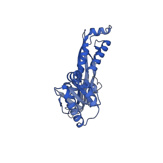 18031_8pys_U_v1-0
Cryo-EM structure of the DyP peroxidase-loaded encapsulin nanocompartment from Mycobacterium tuberculosis with icosahedral symmetry imposed.