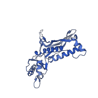 18031_8pys_V_v1-0
Cryo-EM structure of the DyP peroxidase-loaded encapsulin nanocompartment from Mycobacterium tuberculosis with icosahedral symmetry imposed.