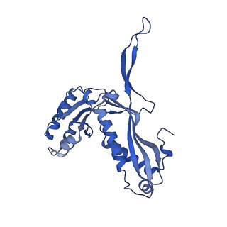 18031_8pys_W_v1-0
Cryo-EM structure of the DyP peroxidase-loaded encapsulin nanocompartment from Mycobacterium tuberculosis with icosahedral symmetry imposed.