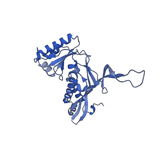 18031_8pys_X_v1-0
Cryo-EM structure of the DyP peroxidase-loaded encapsulin nanocompartment from Mycobacterium tuberculosis with icosahedral symmetry imposed.