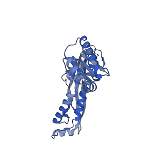 18031_8pys_Y_v1-0
Cryo-EM structure of the DyP peroxidase-loaded encapsulin nanocompartment from Mycobacterium tuberculosis with icosahedral symmetry imposed.