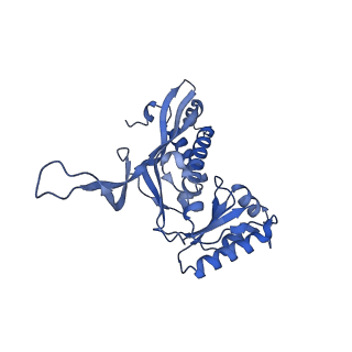 18031_8pys_a_v1-0
Cryo-EM structure of the DyP peroxidase-loaded encapsulin nanocompartment from Mycobacterium tuberculosis with icosahedral symmetry imposed.