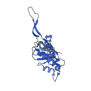 18031_8pys_b_v1-0
Cryo-EM structure of the DyP peroxidase-loaded encapsulin nanocompartment from Mycobacterium tuberculosis with icosahedral symmetry imposed.