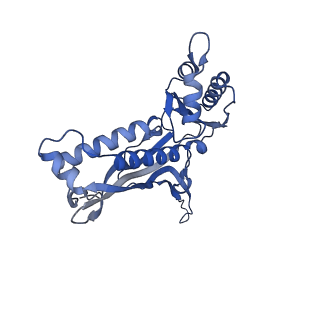 18031_8pys_c_v1-0
Cryo-EM structure of the DyP peroxidase-loaded encapsulin nanocompartment from Mycobacterium tuberculosis with icosahedral symmetry imposed.