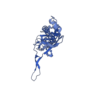 18031_8pys_e_v1-0
Cryo-EM structure of the DyP peroxidase-loaded encapsulin nanocompartment from Mycobacterium tuberculosis with icosahedral symmetry imposed.