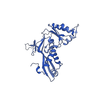18031_8pys_f_v1-0
Cryo-EM structure of the DyP peroxidase-loaded encapsulin nanocompartment from Mycobacterium tuberculosis with icosahedral symmetry imposed.