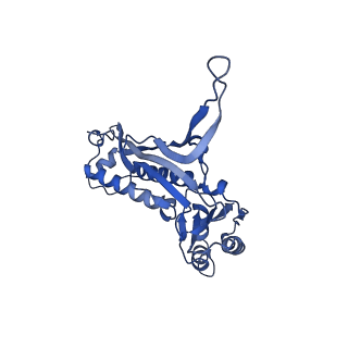 18031_8pys_g_v1-0
Cryo-EM structure of the DyP peroxidase-loaded encapsulin nanocompartment from Mycobacterium tuberculosis with icosahedral symmetry imposed.