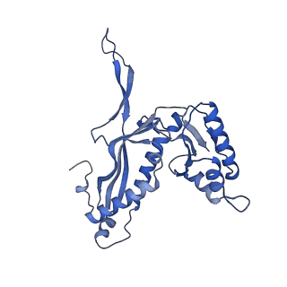 18031_8pys_h_v1-0
Cryo-EM structure of the DyP peroxidase-loaded encapsulin nanocompartment from Mycobacterium tuberculosis with icosahedral symmetry imposed.