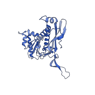 18031_8pys_i_v1-0
Cryo-EM structure of the DyP peroxidase-loaded encapsulin nanocompartment from Mycobacterium tuberculosis with icosahedral symmetry imposed.