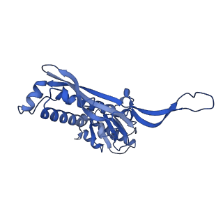 18031_8pys_j_v1-0
Cryo-EM structure of the DyP peroxidase-loaded encapsulin nanocompartment from Mycobacterium tuberculosis with icosahedral symmetry imposed.