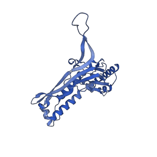 18031_8pys_k_v1-0
Cryo-EM structure of the DyP peroxidase-loaded encapsulin nanocompartment from Mycobacterium tuberculosis with icosahedral symmetry imposed.