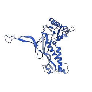 18031_8pys_l_v1-0
Cryo-EM structure of the DyP peroxidase-loaded encapsulin nanocompartment from Mycobacterium tuberculosis with icosahedral symmetry imposed.