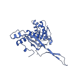 18031_8pys_o_v1-0
Cryo-EM structure of the DyP peroxidase-loaded encapsulin nanocompartment from Mycobacterium tuberculosis with icosahedral symmetry imposed.