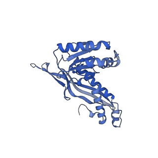 18031_8pys_p_v1-0
Cryo-EM structure of the DyP peroxidase-loaded encapsulin nanocompartment from Mycobacterium tuberculosis with icosahedral symmetry imposed.