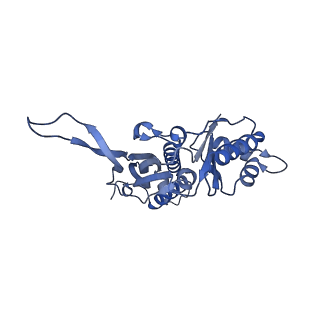 18031_8pys_q_v1-0
Cryo-EM structure of the DyP peroxidase-loaded encapsulin nanocompartment from Mycobacterium tuberculosis with icosahedral symmetry imposed.