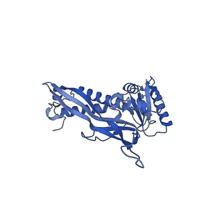 18031_8pys_r_v1-0
Cryo-EM structure of the DyP peroxidase-loaded encapsulin nanocompartment from Mycobacterium tuberculosis with icosahedral symmetry imposed.
