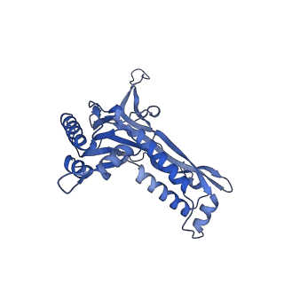 18031_8pys_s_v1-0
Cryo-EM structure of the DyP peroxidase-loaded encapsulin nanocompartment from Mycobacterium tuberculosis with icosahedral symmetry imposed.