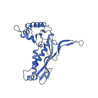18031_8pys_t_v1-0
Cryo-EM structure of the DyP peroxidase-loaded encapsulin nanocompartment from Mycobacterium tuberculosis with icosahedral symmetry imposed.