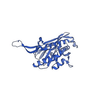 18031_8pys_u_v1-0
Cryo-EM structure of the DyP peroxidase-loaded encapsulin nanocompartment from Mycobacterium tuberculosis with icosahedral symmetry imposed.