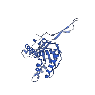 18031_8pys_y_v1-0
Cryo-EM structure of the DyP peroxidase-loaded encapsulin nanocompartment from Mycobacterium tuberculosis with icosahedral symmetry imposed.