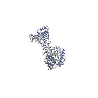 20524_6pyh_D_v1-0
Cryo-EM structure of full-length IGF1R-IGF1 complex. Only the extracellular region of the complex is resolved.