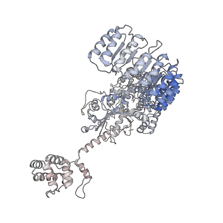 13686_7pzc_A_v1-2
Cryo-EM structure of the NLRP3 decamer bound to the inhibitor CRID3
