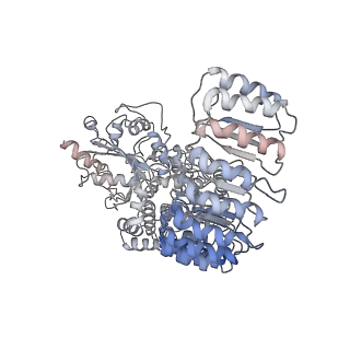 13686_7pzc_C_v1-2
Cryo-EM structure of the NLRP3 decamer bound to the inhibitor CRID3