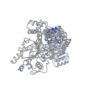 13686_7pzc_D_v1-2
Cryo-EM structure of the NLRP3 decamer bound to the inhibitor CRID3