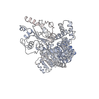 13686_7pzc_F_v1-2
Cryo-EM structure of the NLRP3 decamer bound to the inhibitor CRID3