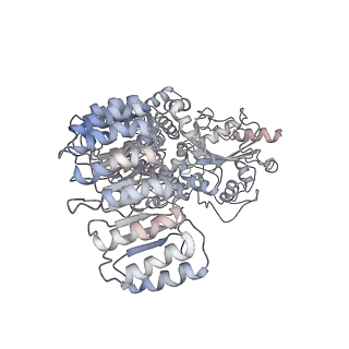 13686_7pzc_G_v1-2
Cryo-EM structure of the NLRP3 decamer bound to the inhibitor CRID3